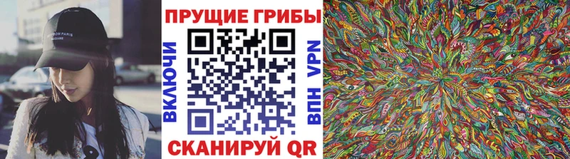 Псилоцибиновые грибы Psilocybe  купить  сайты  нарко площадка официальный сайт  Отрадная 