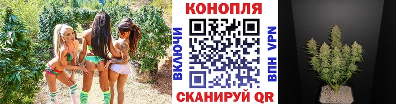 Марихуана тримм  цены   Отрадная 